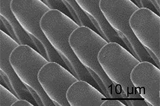 Polymer structure